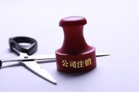 拉薩注銷一個公司，需要去幾個部門？整體時間需要多久？大概流程是怎樣的？