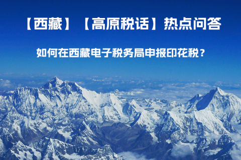 如何在西藏自治區(qū)電子稅務(wù)局申報印花稅？