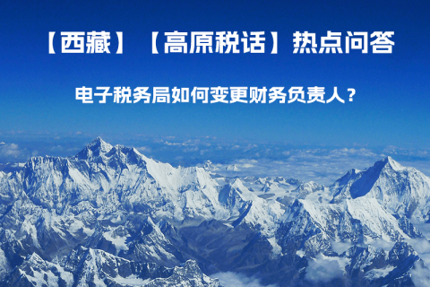 電子稅務(wù)局如何變更財務(wù)負(fù)責(zé)人？