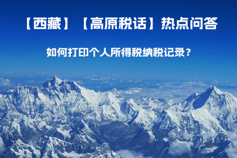 如何打印個(gè)人所得稅納稅記錄？