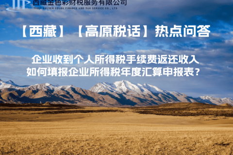 企業(yè)收到個(gè)人所得稅手續(xù)費(fèi)返還收入，如何填報(bào)企業(yè)所得稅年度匯算申報(bào)表？