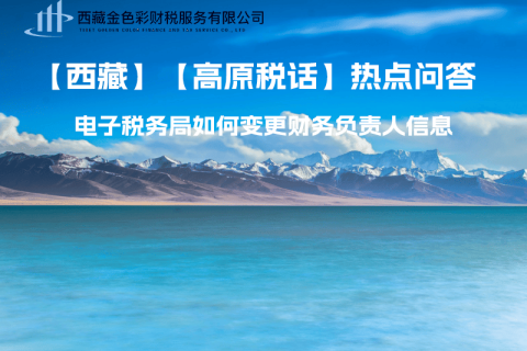 西藏電子稅務(wù)局如何變更財(cái)務(wù)負(fù)責(zé)人信息？